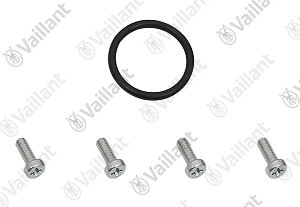 Vaillant O-Ring in der Mitte, umgeben von vier Schrauben in verschiedenen Längen. Das Set dient zur Montage oder Reparatur von Geräten.